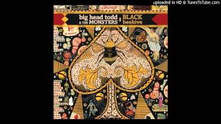 Big Head Todd and the Monsters - We Won't Go Back