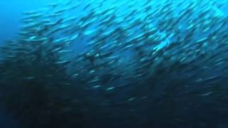 Amen Corner-Bend Me Shape Me Lyrics