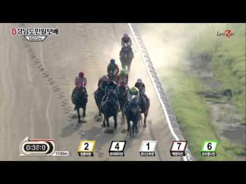 Gyeongnam Domin Ilbo Cup 2015 - Triple Nine