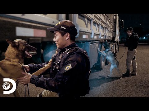 Apreensão de carga de cocaína em caminhão | Operação Fronteira: América do Sul | Discovery Brasil