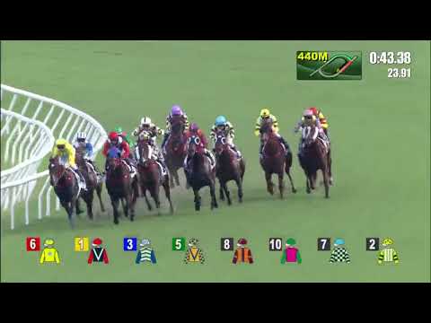 金鑽貴人22/07/16……(835)第十塲二班1200米