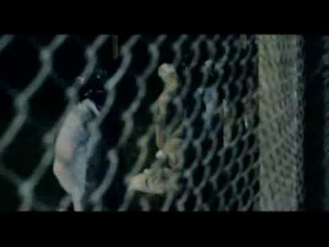 Devlin ft Giggs - Shot Music