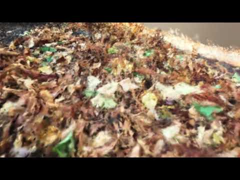 Hålbå - The Fall of the Autumn (VISUALIZER)