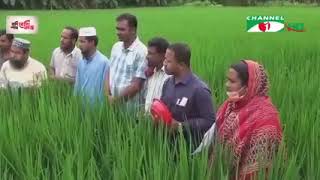 অতন্দ্র জরীপ