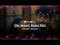 Dil Mang Raha Hai Mohlat Lofi Version Slowed Reverb Slowed Lofi