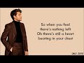 Niall Horan - Science (lyrics)