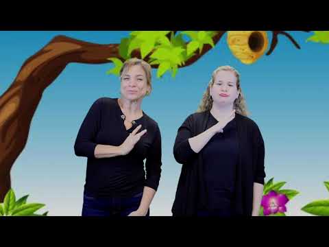 ASL Rhyme and Rhythm: The Bear and the Bees