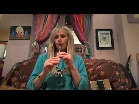 Sharon Shannon playing a Lír D whistle