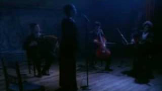 Madredeus Guitarra (Een portugese muziek groep)