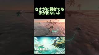 【ティアキン】賢者でも手が出ない最強の敵 #ゼルダの伝説 #tearsofthekingdom  #zelda  #nintendoswitch2