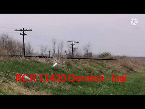 Video special de Paște 🐇🐇🐇🐇🐇🐇😉