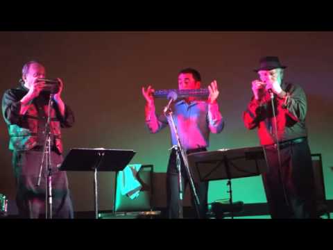 On the Sunny Side of the Street - The Harmaniacs