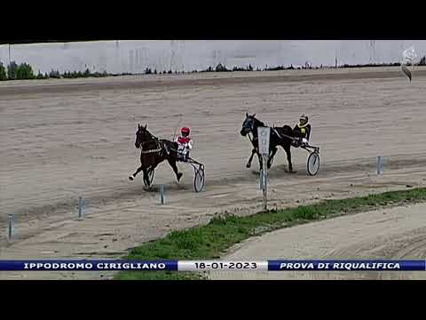 Aversa trotto 18 Gennaio 2023 - Prova di riqualifica