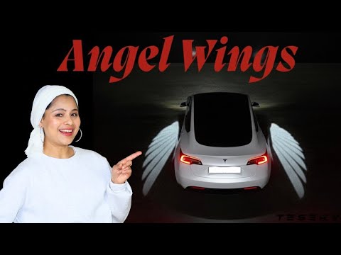 Tesla Angel Wings Rearview Welcome Light Install & Review- Tesery