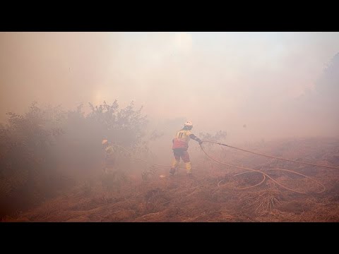 Spanien: Trotz Regen immer noch Brände - mutmaßliche Brandstifter verhaftet