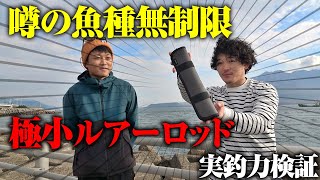 魚種無制限・極小ルアーロッド…本当に使えるのか？釣れる魚は全部釣る覚悟で試してみた結果…。