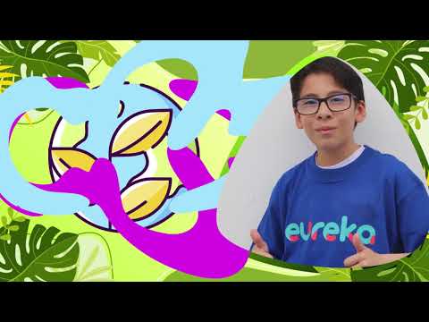 #AccionesConEco de Jhoan Camilo de la Generación eureka