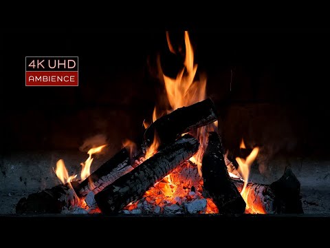 Cozy Campfire with Ambient Crackling Sounds and Relaxing Beach Waves | 4k UHD | 1 Hour