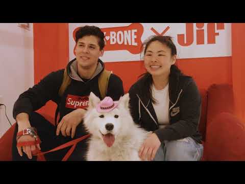 Milk-Bone x Jif Collab Collection Pop Up