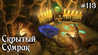 SKYRIM прохождение - ЛЕГЕНДАРНАЯ сложность! #113 Скрытый сумрак