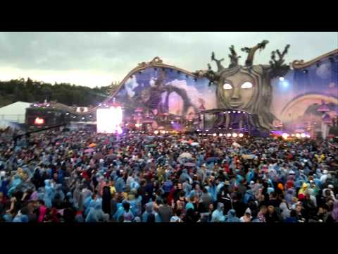 23.07.11 // Avicii @ Tomorrowland