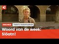 Het Twentse woord van de week: Slöatn