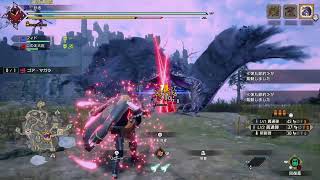大佐と始めるダブル縛りモンスターハンターサンブレイク　9日目