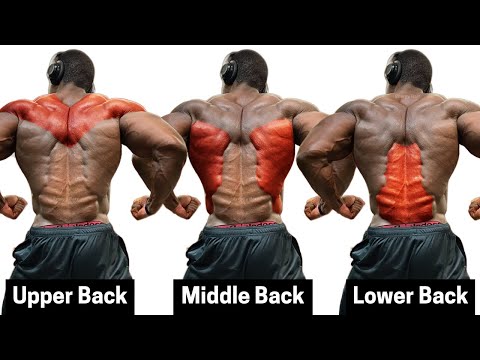 HOW TO GROW YOUR BACK BIGGER AND WIDER | FOLLOW THESE EXERCISES