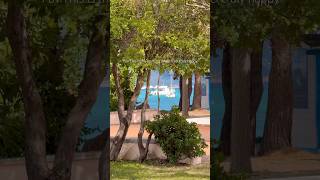 Feel your moment #sardinia #life #summer