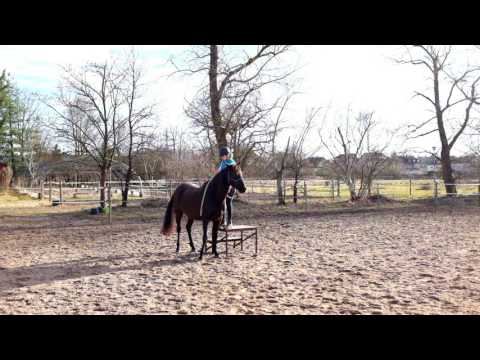 Aller Anfang ist leicht