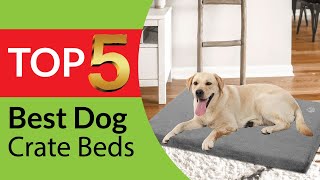 Top 5 Best Dog Crate Beds and Pads of 2026 [Buying Guide]