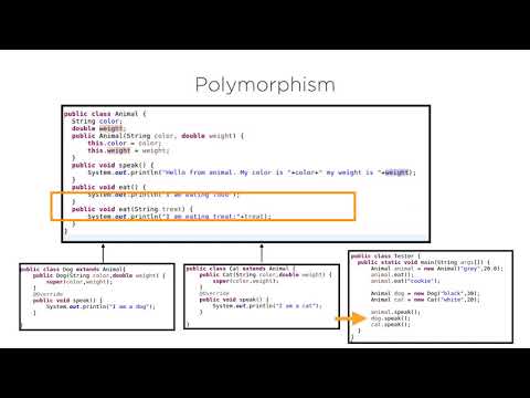 Java: Object Oriented Programming Concepts - Polymorphism