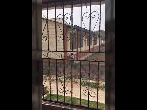 TiNice Nice Records (mugarden)