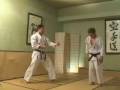 Tekki Shodan Bunkai By H Kanazawa
