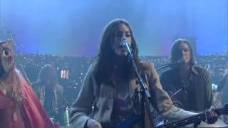 The Ghost Of A Saber Tooth Tiger - "Animals" 5/2/14 David Letterman
