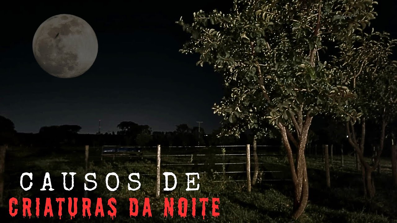 HISTÓRIAS ASSUSTADORAS DE CRIATURAS QUE VEM COM A NOITE .