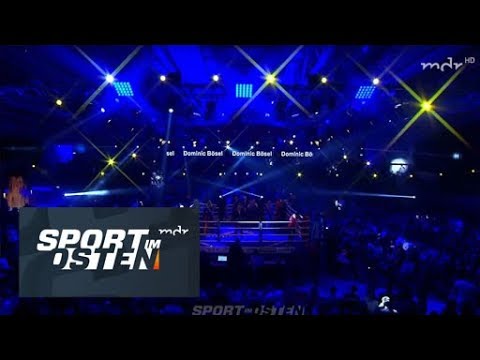 Boxen - der Kampfabend aus Halle mit Dominic Bösel vs. Timy Shala | Sport im Osten | MDR