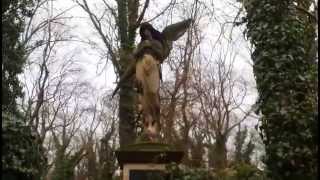 wolves in the throne room - initiation at neudegg alm