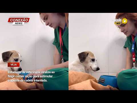 Vídeo: Estudante de veterinária viraliza ao fingir comer ração para estimular o apetite de cadela internada.