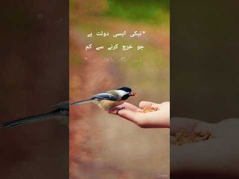 kindness 💕💞|best quotes|beautiful lines 💞#quotes #sad #love #qismat #sadpoetry #bhojpuri#bestquotes