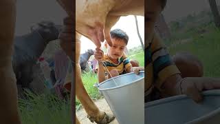 Download lagu choti choti gaiya tr rty #love #song #funny mp3 Download lagu choti choti gaiya tr rty #love #song #funny mp3