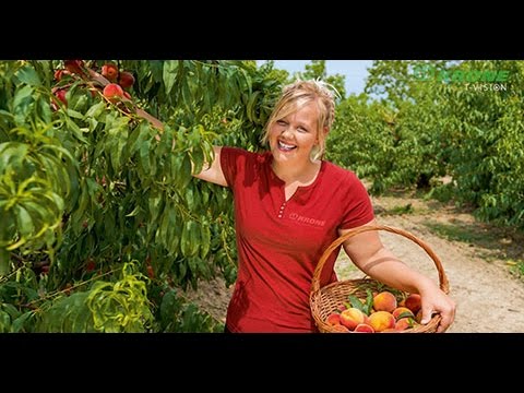 KRONE Kalender September 2016 – Pia Heese