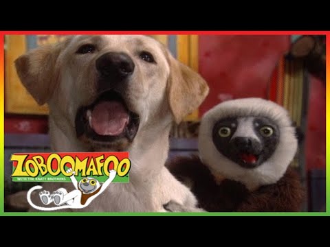 🐶 Zoboomafoo 253 - Can You Feel It? - Animal shows for kids | Full Episode | HD 🐶