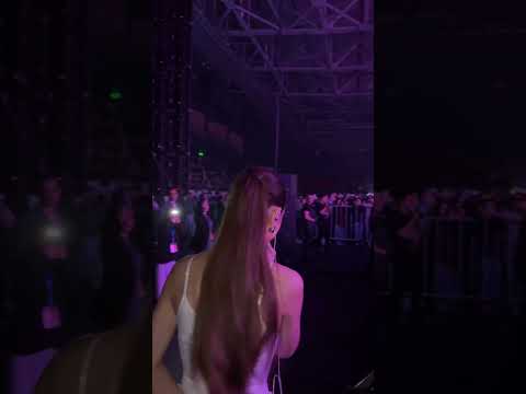 Macan & SCIRENA - IVL