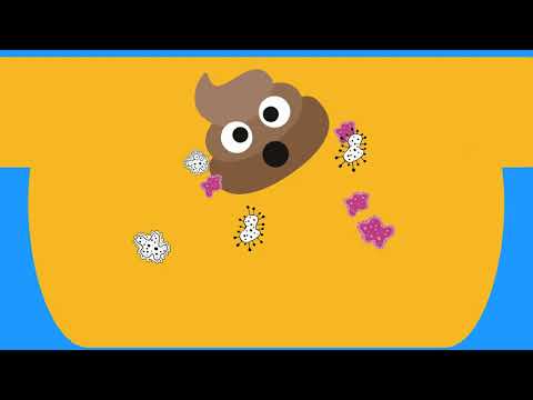 Vart tar bajset vägen - skolwebb