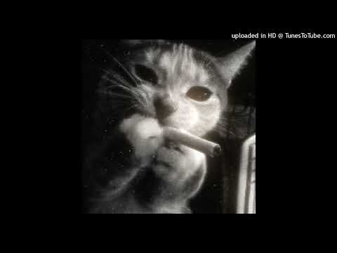 (FREE) Supertrap x THRILL PILL x CHELSEA 3 type beat (prod. by mynik)