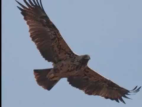 Hyperborea - En el camino (Sulla Strada)