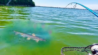 I Can't Believe my Fishing Rod didn't BREAK!