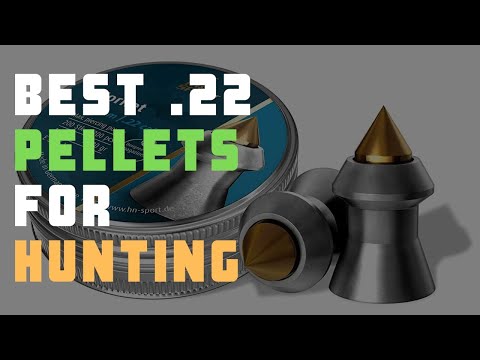 5 Best .22 Pellets For Hunting | Check Best .22 Pellets Reviews Today