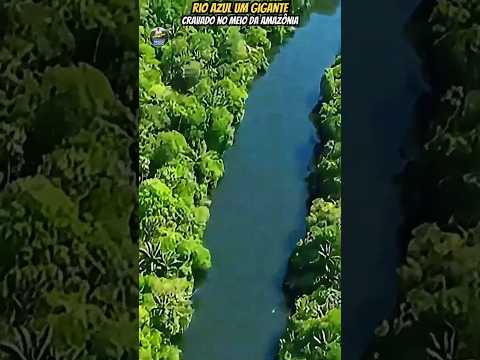 Rio Azul no Pará, um gigante cravado no meio Floresta Amazônica. É aqui que vamos pescar #viralshort